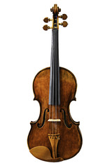 Violin isolated