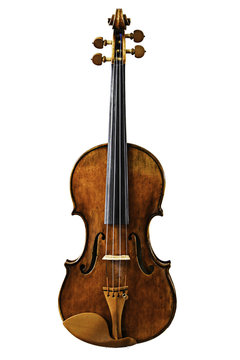Violin isolated
