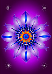 Mandala blooming flower
