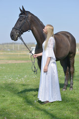 horse jumping