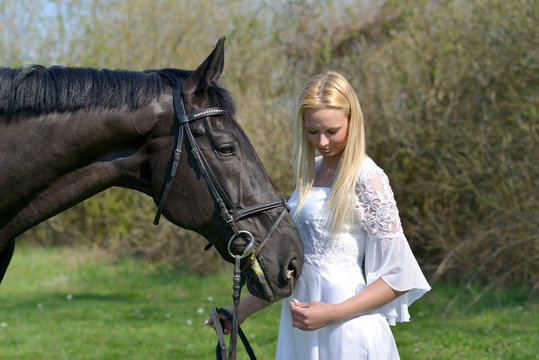 horse and bride