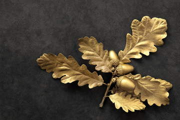 Golden Oak Leaf Beauty