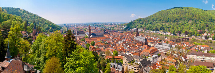 Blick vom Heidelberger Schloss auf die romantische Altstadt - obrazy, fototapety, plakaty