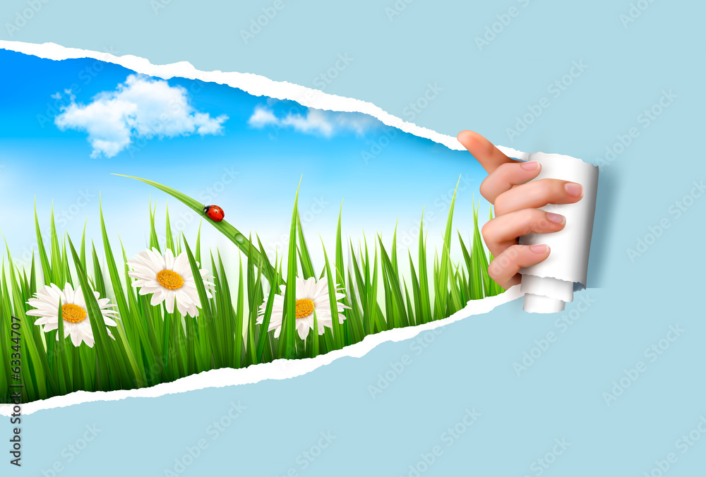 Aufkleber spring background with flowers, grass and a ladybug. vector.
