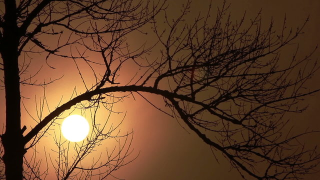 Beautiful sun at sunrise and tree branches. Time lapse
