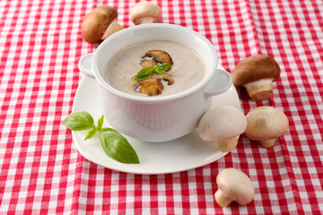 Mushroom soup in white pot, on napkin background