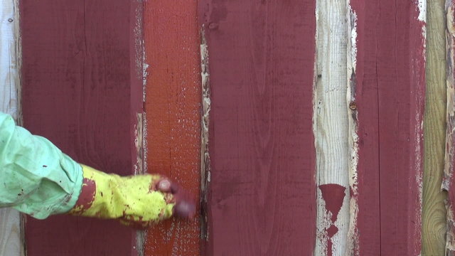 painting wooden plank farm  house wall with paintbrush
