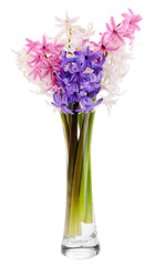 Beautiful hyacinths in vase isolated on white