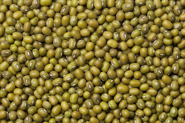 Mung beans