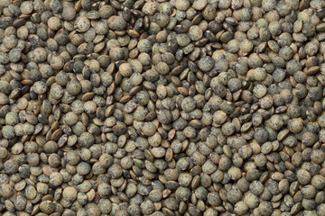 Du Puy lentils