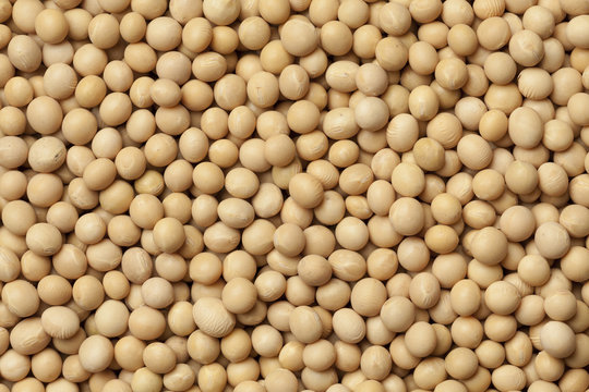 Dried soybeans