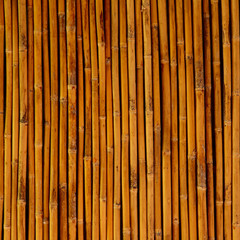 Bamboo for background  texture