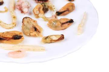 Delicious seafood on a plate.