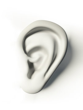 white human ear