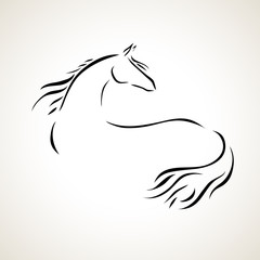 vector drawing horse