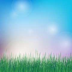 Fototapeta na wymiar summer background with green grass