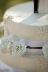 Obraz na płótnie Canvas Detail shot of a wedding cake