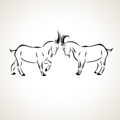 vector illustration goats