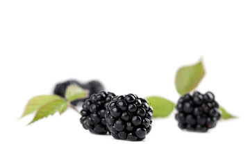 Fresh organic blackberries isolated on white background