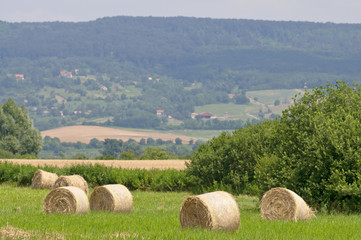Straw bales at summer with hill