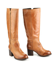  brown female boots isolated on white background