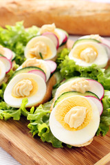 Bread with egg, radish and cucumber