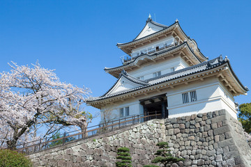 Fototapeta premium Spring Odawara castle