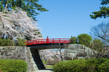 春の小田原城内