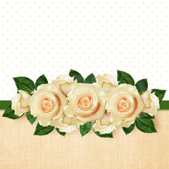 Rose flowers arrangement