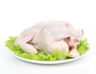 Raw crude fresh chicken on a plate garnished
