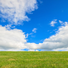 Green grass under blue sky