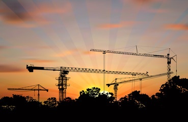 hoisting cranes above trees at sunset