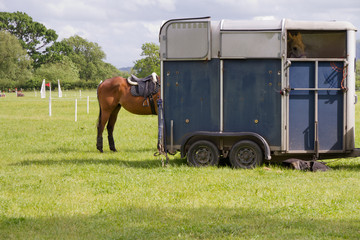 Horse trailer at equestrian event