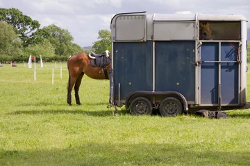 Crédence de cuisine en verre imprimé Léquitation Horse trailer at equestrian event
