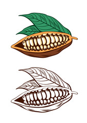 Cocoa Beans