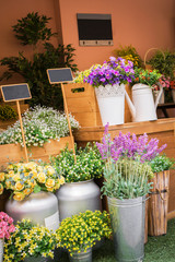 Colorful artificial flowers in flower shop.