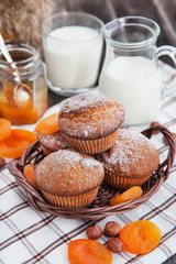 Fresh homemade apricot muffins