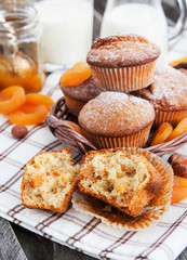 Fresh homemade apricot muffins