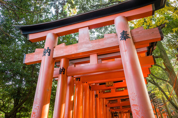 Fushimi Inari Taisha Shrine  Japan