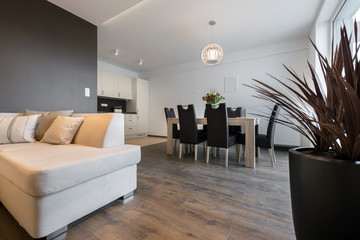 Interior Design: Living room and kitchen