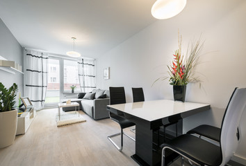 Modern living room with wood floor