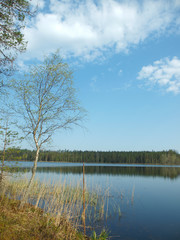 beautiful lake in Karelia
