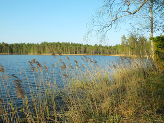 beautiful lake in Karelia