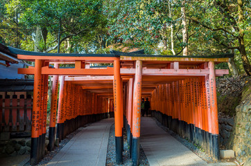 Fushimi Inari Taisha Shrine  Japan