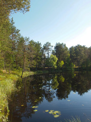 Fototapeta na wymiar beautiful lake in Karelia