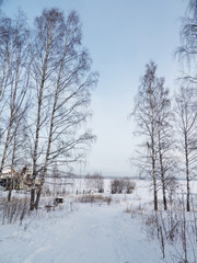 shore of the lake in winter