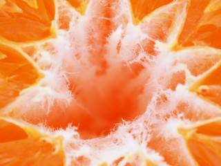 tangerine on white background