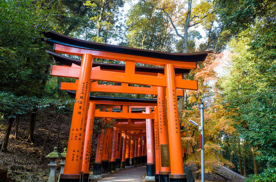 Fushimi Inari Taisha Shrine  Japan