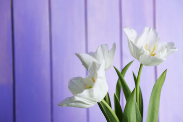 Beautiful hyacinth flower in wicker basket,