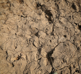 barren soil